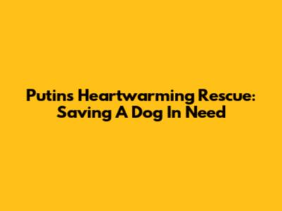 Putin's Heartwarming Rescue: Saving A Dog In Need