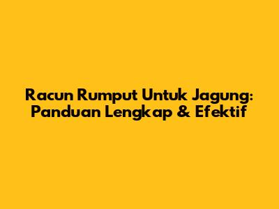 Racun Rumput Untuk Jagung: Panduan Lengkap & Efektif