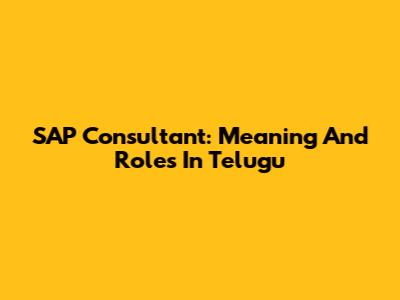SAP Consultant: Meaning And Roles In Telugu