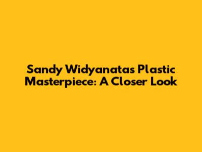 Sandy Widyanata's Plastic Masterpiece: A Closer Look