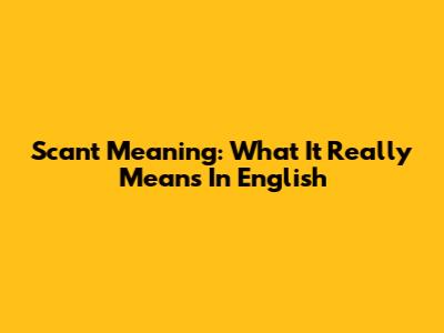 Scant Meaning: What It Really Means In English