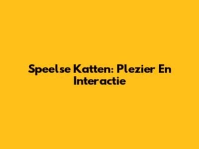 Speelse Katten: Plezier En Interactie