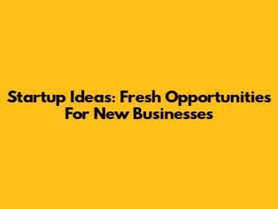 Startup Ideas: Fresh Opportunities For New Businesses