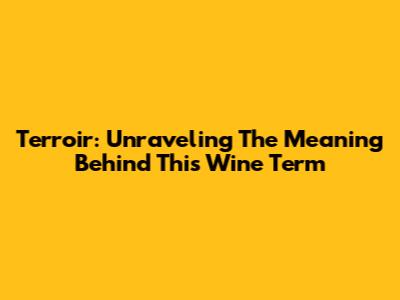 Terroir: Unraveling The Meaning Behind This Wine Term