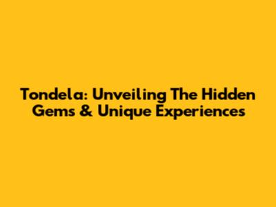 Tondela: Unveiling The Hidden Gems & Unique Experiences