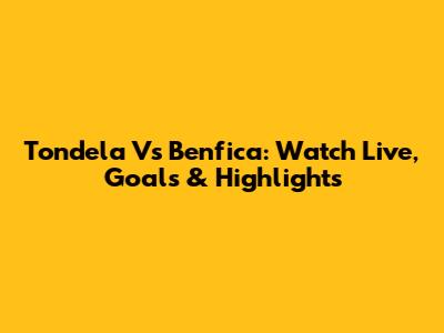 Tondela Vs Benfica: Watch Live, Goals & Highlights
