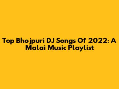 Top Bhojpuri DJ Songs Of 2022: A Malai Music Playlist