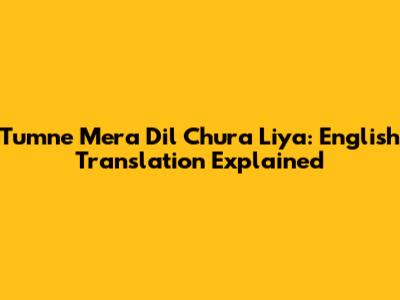 Tumne Mera Dil Chura Liya: English Translation Explained