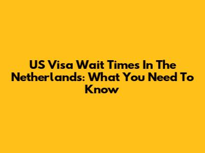 US Visa Wait Times In The Netherlands: What You Need To Know