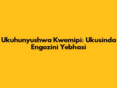 Ukuhunyushwa Kwemipi: Ukusinda Engozini Yebhasi