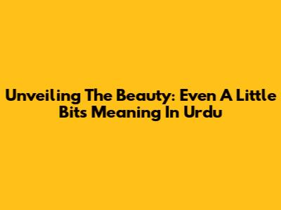 Unveiling The Beauty: Even A Little Bit's Meaning In Urdu