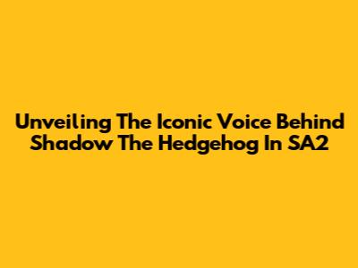 Unveiling The Iconic Voice Behind Shadow The Hedgehog In SA2