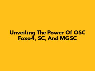 Unveiling The Power Of OSC Foxo4, SC, And MGSC