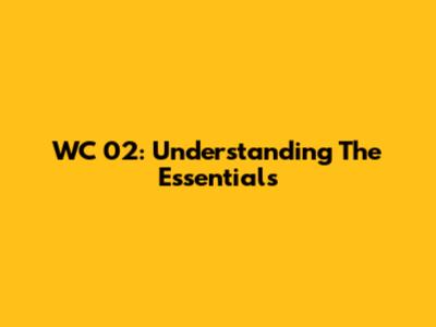 WC 02: Understanding The Essentials