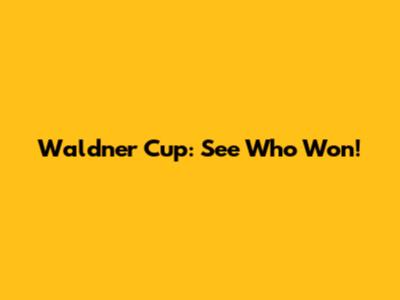 Waldner Cup: See Who Won!