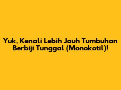 Yuk, Kenali Lebih Jauh Tumbuhan Berbiji Tunggal (Monokotil)!