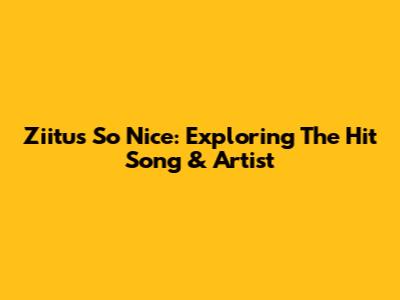 Ziitu's 'So Nice': Exploring The Hit Song & Artist
