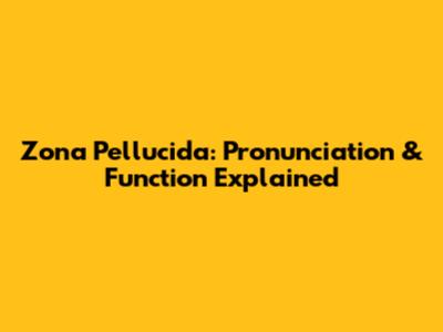 Zona Pellucida: Pronunciation & Function Explained